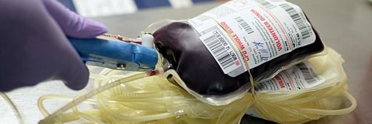 A unit of donated blood